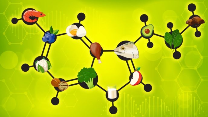 Food affects on hormones