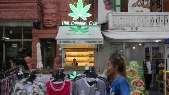 Thailand Cannabis Criminalization