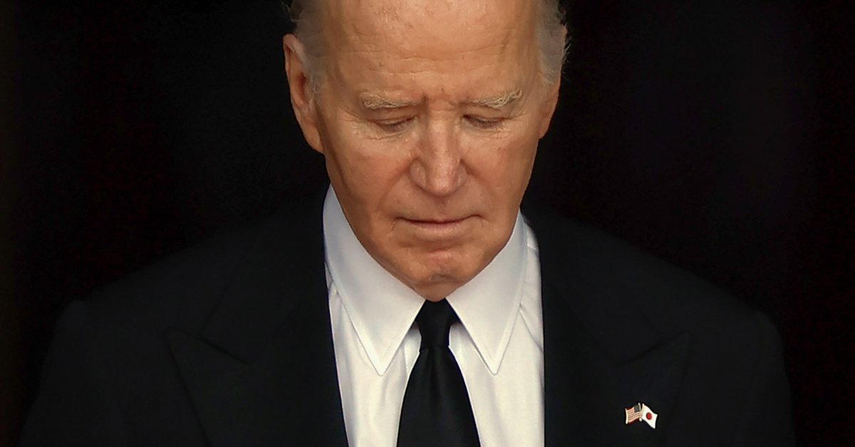 biden portrait 1