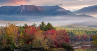 foliage map featured jeremy gray