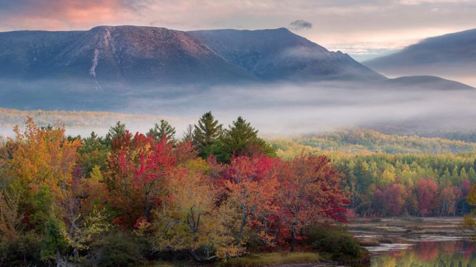 foliage map featured jeremy gray