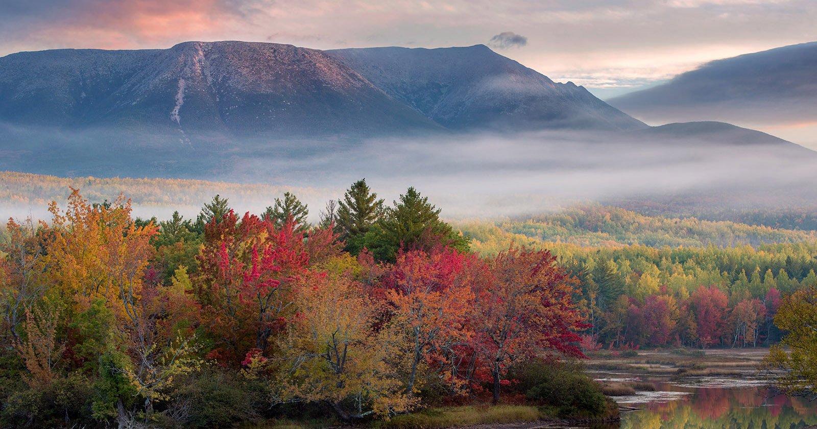 foliage map featured jeremy gray