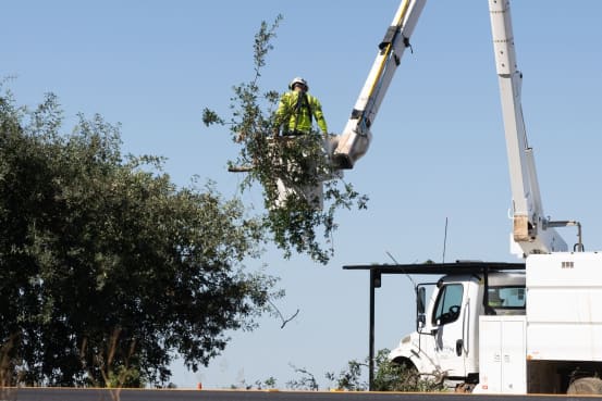 PG&E стремительно борется с увеличением числа пожаров, вызванных ее ЛЭП