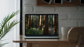 Новая бета macOS Sequoia содержит скрытые обои с лесом для спокойствия вашего рабочего стола