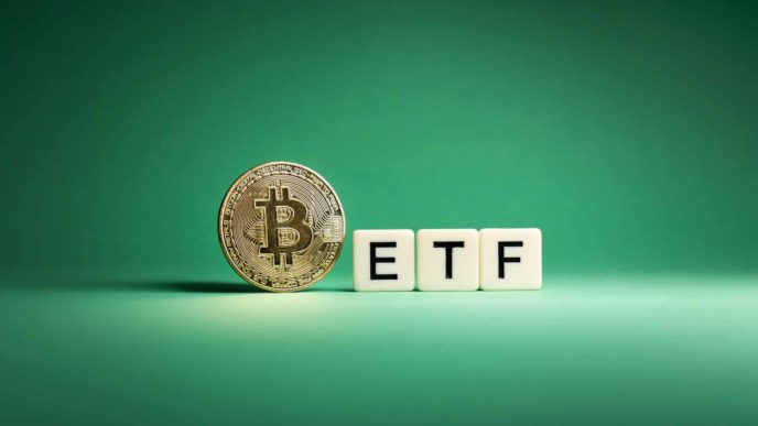 Биткоин-ETF стремятся превзойти культовое BTC-накопление Сатоши — аналитик