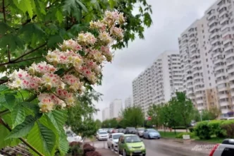 В Краснодарском крае ликвидировали аварию, из-за которой без водоснабжения остались свыше 50 тысяч человек