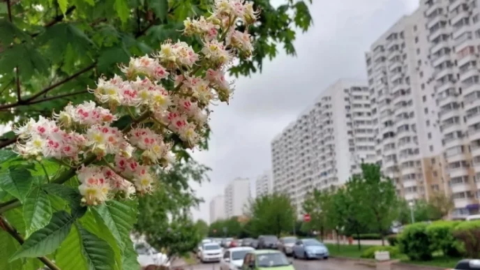 В Краснодарском крае ликвидировали аварию, из-за которой без водоснабжения остались свыше 50 тысяч человек