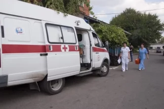 В Санкт-Петербурге дерево придавило мужчину