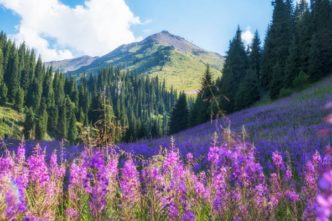 8 лучших вариантов однодневных поездок из Алматы, Казахстан