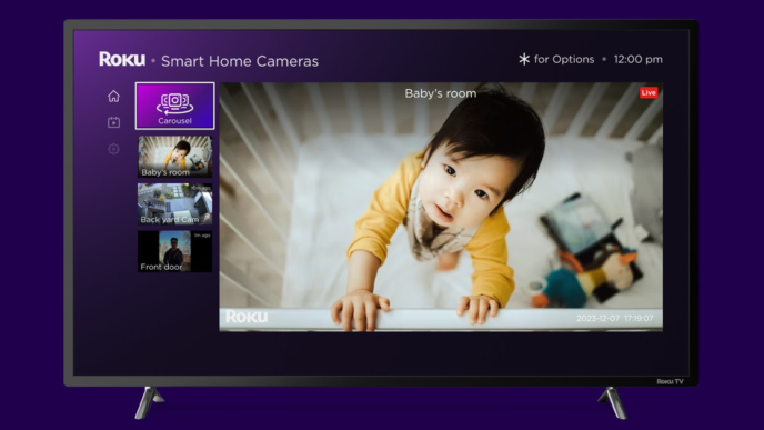 Камеры видеонаблюдения Roku превращают телевизор в центр наблюдения с вращающимся обзором